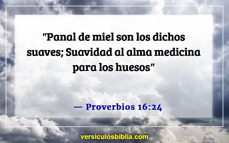 Versículos de la Biblia sobre ofender a las personas (Proverbios 16:24)