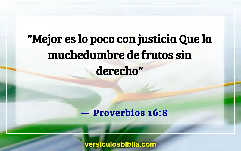 Versículos de la Biblia sobre el manejo del dinero (Proverbios 16:8)