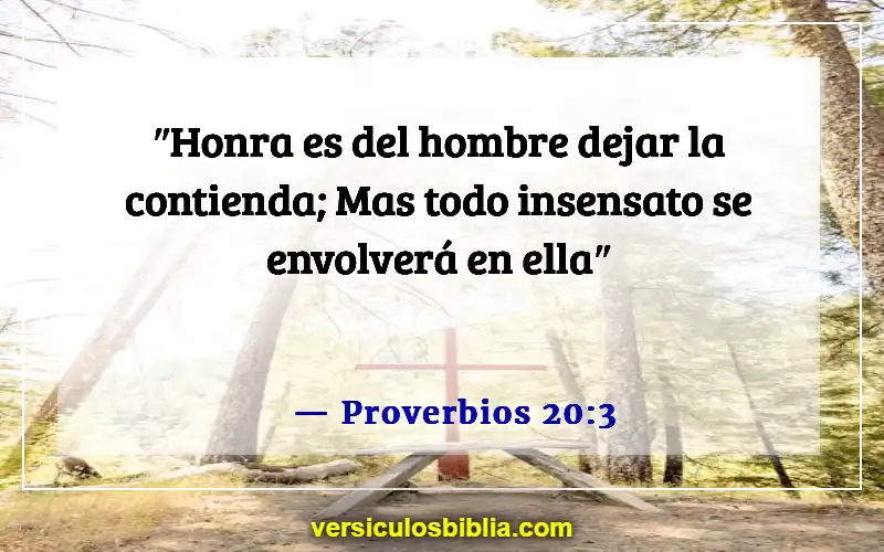 Versículos de la Biblia sobre el abuso en el matrimonio (Proverbios 20:3)