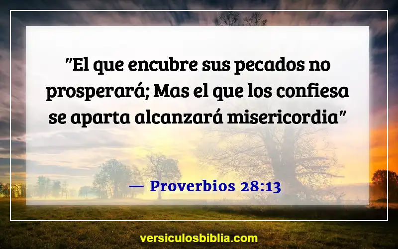 Versículos de la Biblia sobre la Divina Misericordia (Proverbios 28:13)