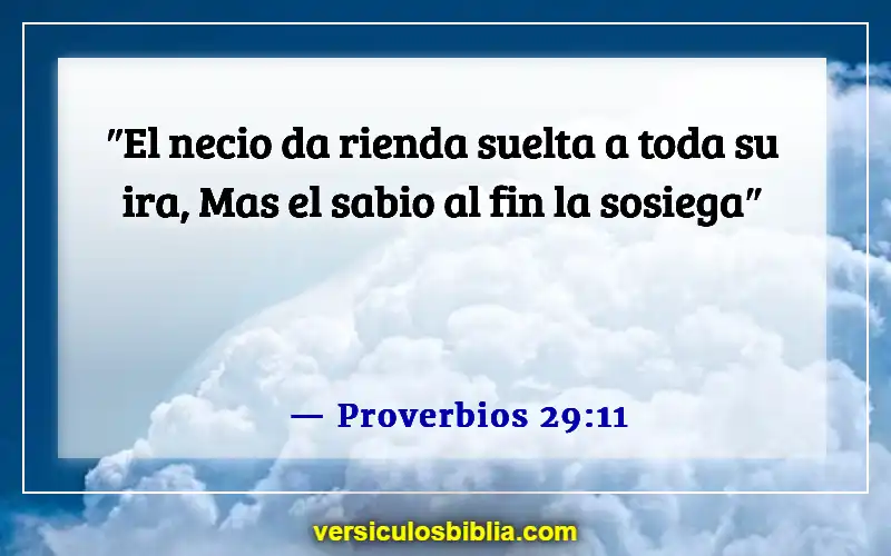 Versículos de la Biblia sobre ofender a las personas (Proverbios 29:11)