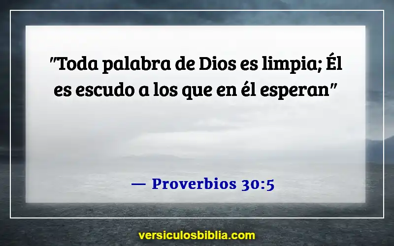 Versículos de la Biblia sobre la inspiración divina (Proverbios 30:5)