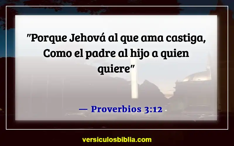 Versículos de la Biblia sobre hacer tropezar a un niño (Proverbios 3:12)