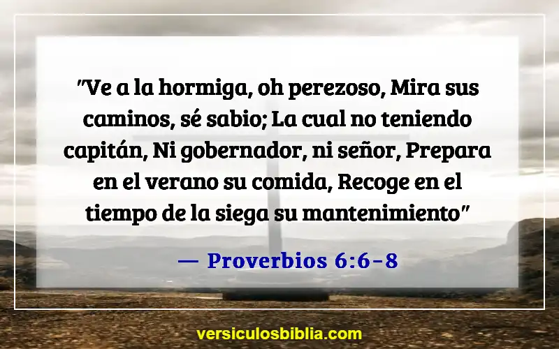 Versículos de la Biblia sobre el trabajo arduo (Proverbios 6:6-8)