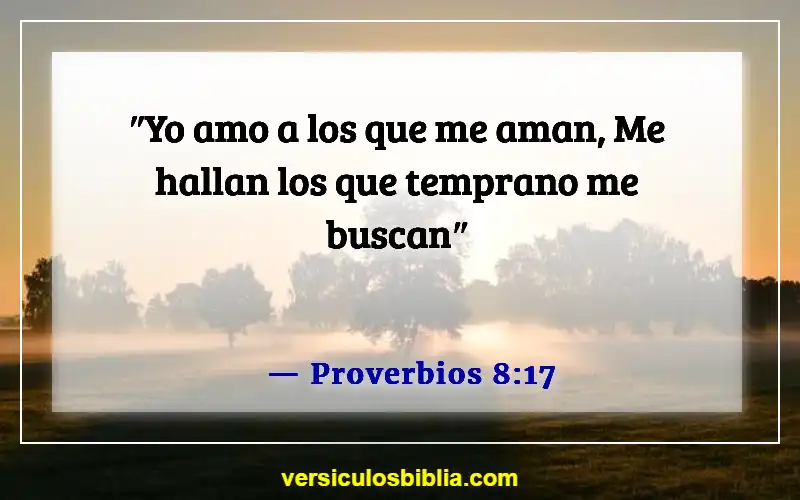 Versículos de la Biblia sobre amar a Dios (Proverbios 8:17)