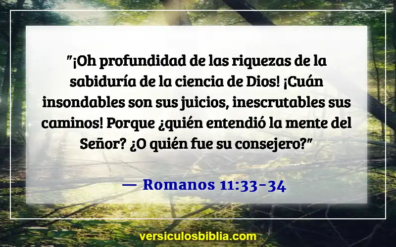 Versículos de la Biblia sobre cuestionar a Dios (Romanos 11:33-34)