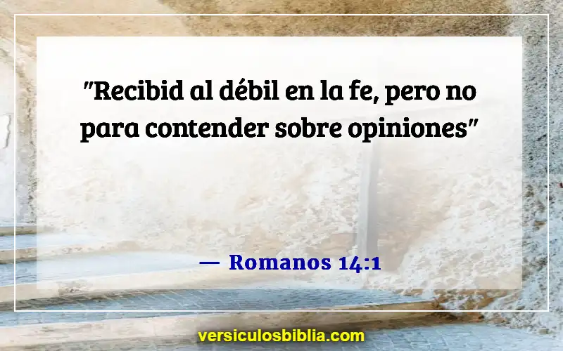 Versículos de la Biblia sobre la fe, el amor y la gracia (Romanos 14:1)