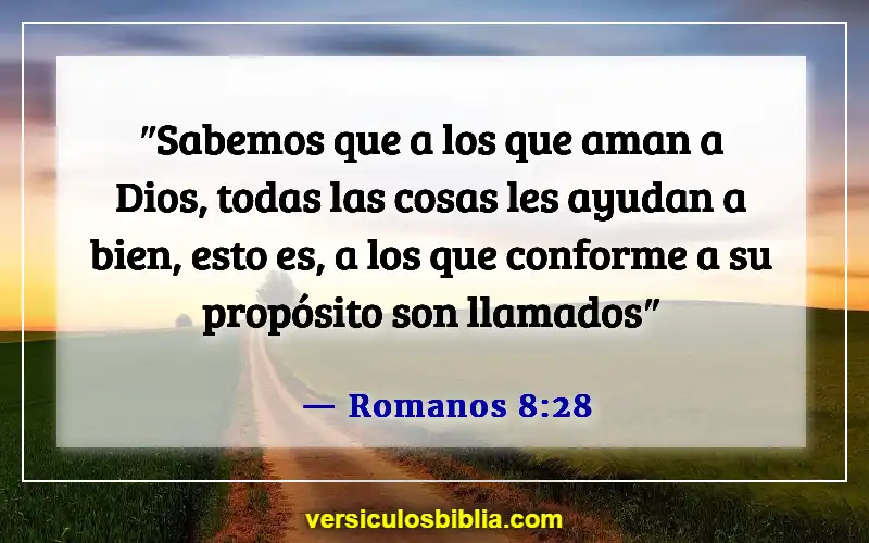 Versículos de la Biblia sobre amar a Dios (Romanos 8:28)