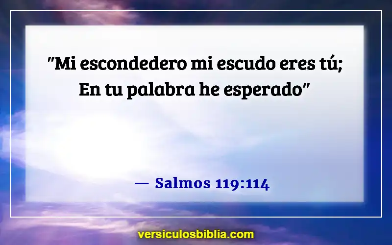 Versículos bíblicos sobre confiar en Dios (Salmos 119:114)