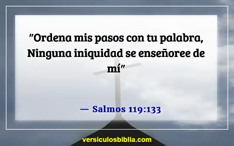 Versículos de la Biblia sobre evitar el pecado (Salmos 119:133)