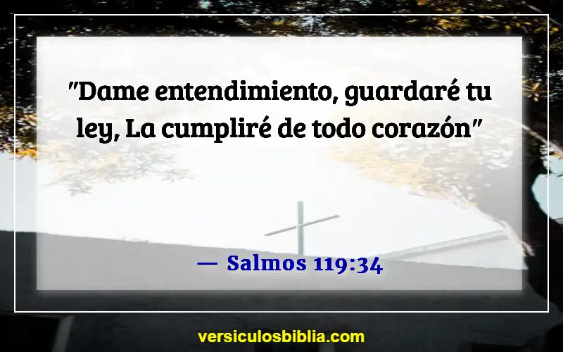 Versículos de la Biblia sobre obedecer a Dios (Salmos 119:34)