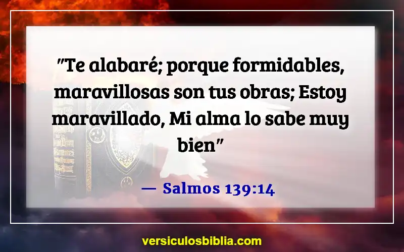 Versículos de la Biblia sobre superar el rechazo (Salmos 139:14)