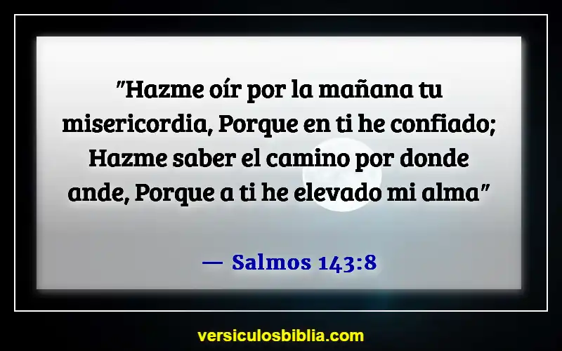 Versículos de la Biblia sobre el tiempo de quietud (Salmos 143:8)