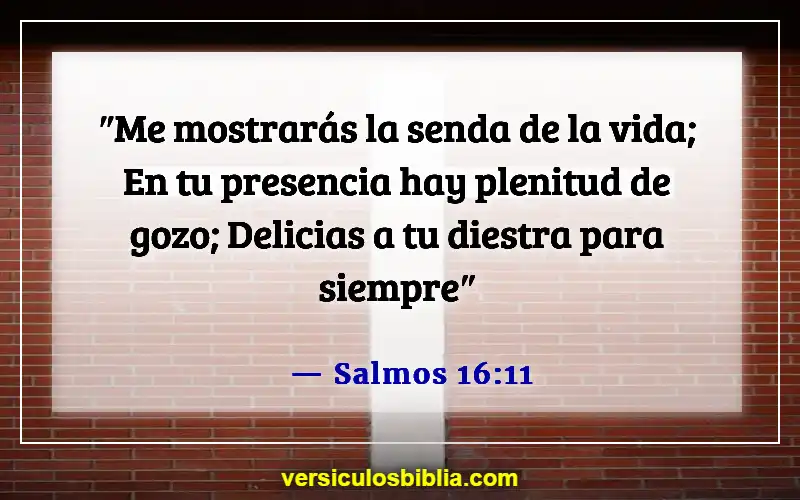 Versículos de la Biblia sobre el tiempo de quietud (Salmos 16:11)