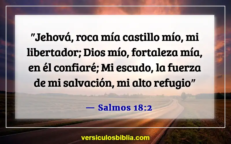 Versículos bíblicos sobre el dolor (Salmos 18:2)