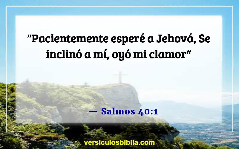 Versículos de la Biblia sobre el tiempo de quietud (Salmos 40:1)