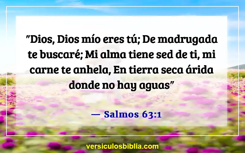 Versículos de la Biblia sobre dedicar tiempo a Dios (Salmos 63:1)