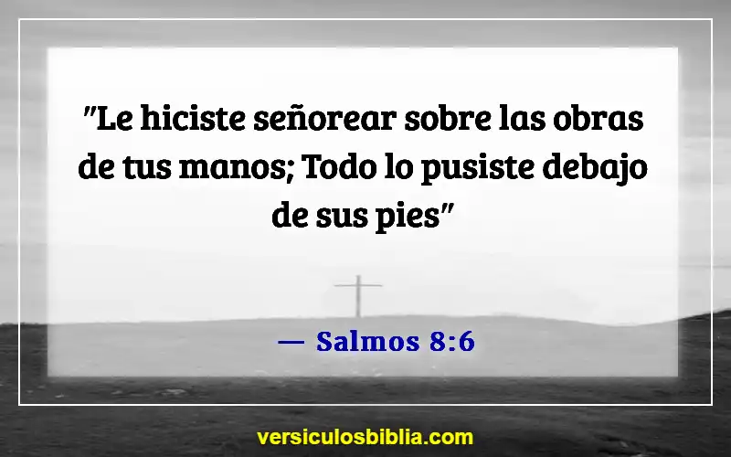 Versículos de la Biblia sobre la creación y la caída (Salmos 8:6)