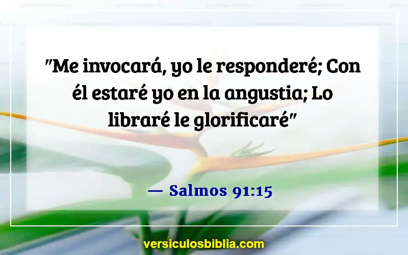 Versículos de la Biblia sobre pedir en el nombre de Jesús (Salmos 91:15)