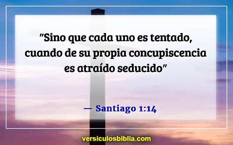 Versículos de la Biblia sobre caer en la tentación (Santiago 1:14)