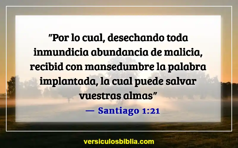 Versículos de la Biblia sobre la inspiración divina (Santiago 1:21)