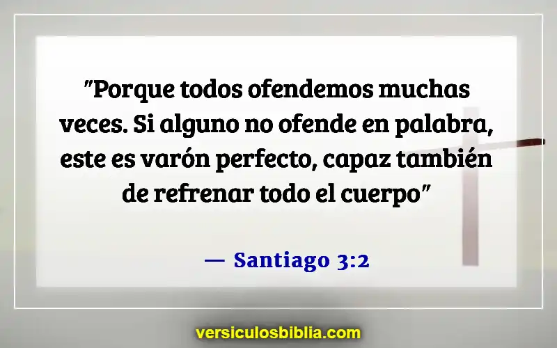 Versículos de la Biblia sobre ofender a las personas (Santiago 3:2)