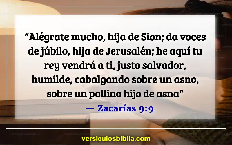 Versículos bíblicos sobre el Domingo de Ramos (Zacarías 9:9)