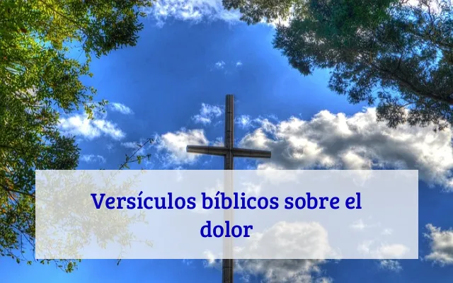 Versículos bíblicos sobre el dolor