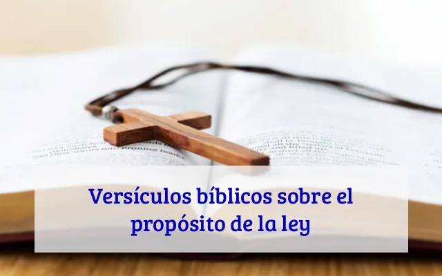 Versículos bíblicos sobre el propósito de la ley