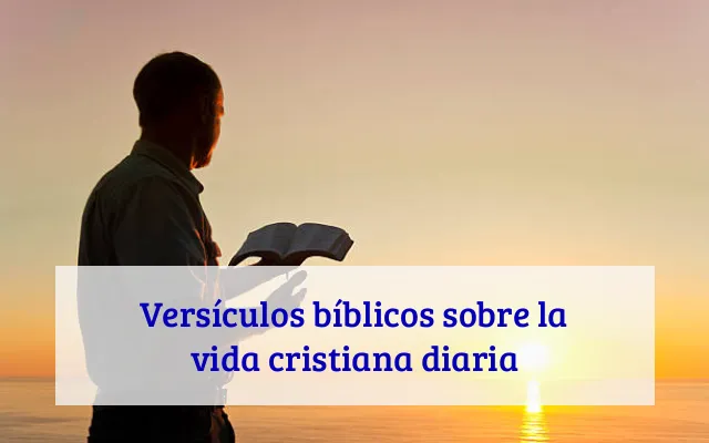 Versículos bíblicos sobre la vida cristiana diaria