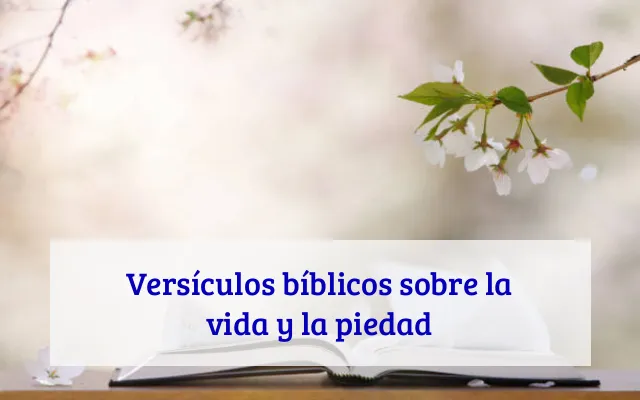 Versículos bíblicos sobre la vida y la piedad