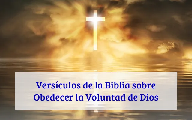 Versículos de la Biblia sobre Obedecer la Voluntad de Dios