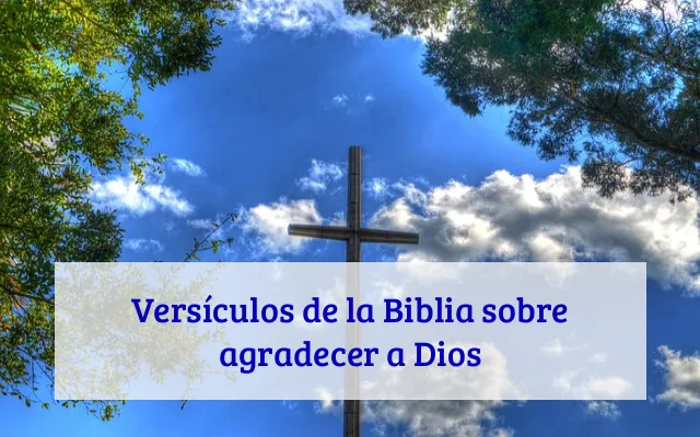 Versículos de la Biblia sobre agradecer a Dios