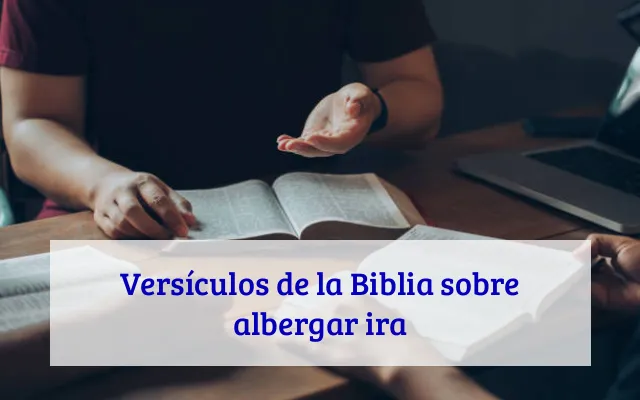 Versículos de la Biblia sobre albergar ira