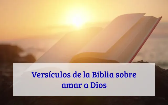 Versículos de la Biblia sobre amar a Dios