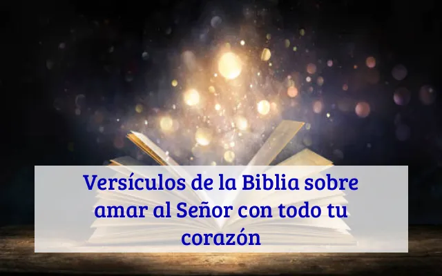 Versículos de la Biblia sobre amar al Señor con todo tu corazón