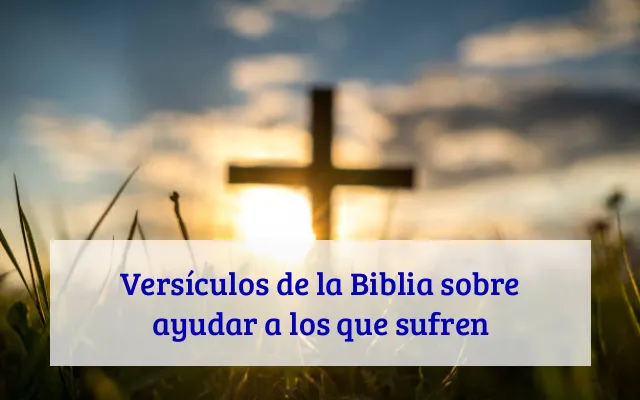 Versículos de la Biblia sobre ayudar a los que sufren