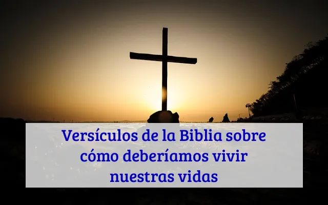 Versículos de la Biblia sobre cómo deberíamos vivir nuestras vidas