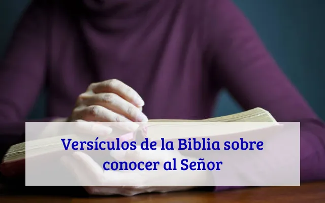 Versículos de la Biblia sobre conocer al Señor