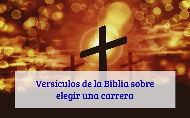 Versículos de la Biblia sobre elegir una carrera