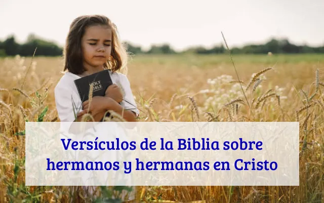 Versículos de la Biblia sobre hermanos y hermanas en Cristo