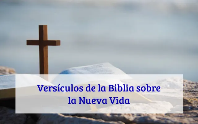 Versículos de la Biblia sobre la Nueva Vida