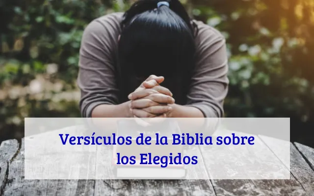 Versículos de la Biblia sobre los Elegidos