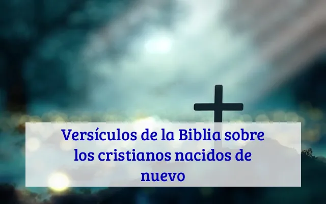 Versículos de la Biblia sobre los cristianos nacidos de nuevo