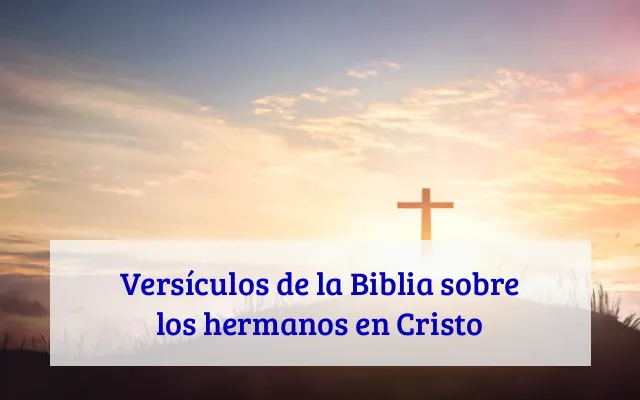 Versículos de la Biblia sobre los hermanos en Cristo