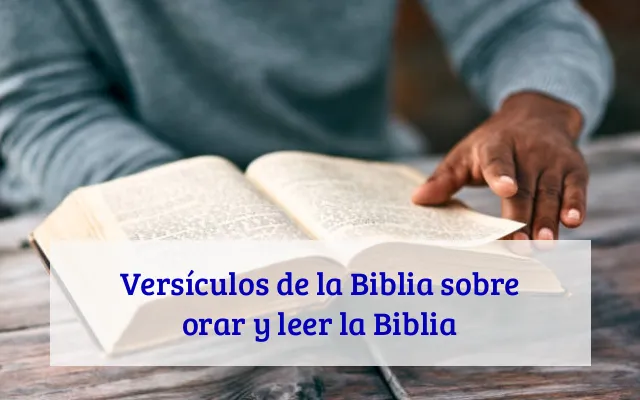 Versículos de la Biblia sobre orar y leer la Biblia