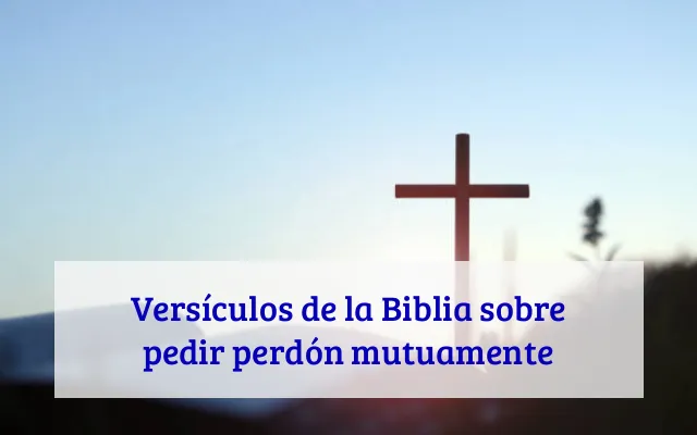 Versículos de la Biblia sobre pedir perdón mutuamente