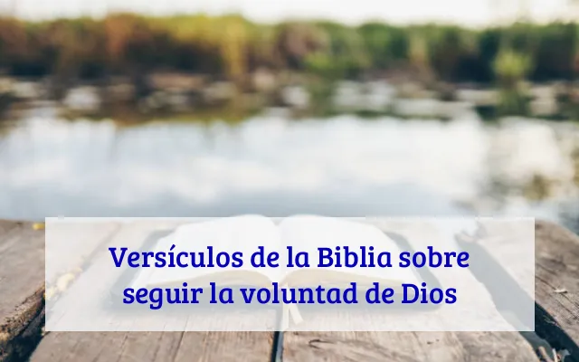 Versículos de la Biblia sobre seguir la voluntad de Dios